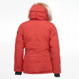 C Down Jacket Women (124)