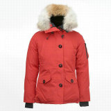 C Down Jacket Women (124)