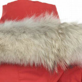 C Down Jacket Women (127)