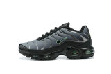 Air Max Plus Shoes - 039