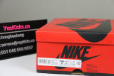 Authentic Air Jordan 1 High 85 “Neutral Grey”