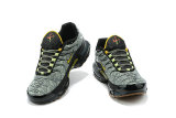Air Max Plus Shoes - 037