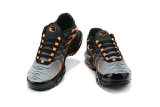 Air Max Plus Shoes - 038