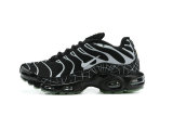 Air Max Plus Shoes - 032