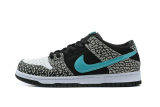 Nike SB Dunk Low Women Shoes (34)