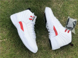 Authentic Air Jordan 12 “Twist”