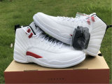 Authentic Air Jordan 12 “Twist”