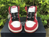 Dior x Air Jordan 1 Chicago