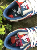 Authentic Parra X Nike SB Dunk Low Royal Blue