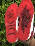 Dior x Air Jordan 1 Chicago