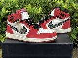 Dior x Air Jordan 1 Chicago