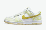 Nike SB Dunk Low Women (41)