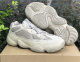 Authentic Y 500 “Taupe Light”