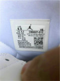 Authentic Dior x Air Jordan 1 White/God
