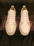 Christian Louboutin Shoes (228)