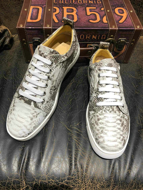 Christian Louboutin Shoes (253)