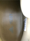 Authentic Y 700 “Enflame Amber”