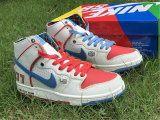 Authentic Ishod Wair x Magnus Walker x Nike SB Dunk High