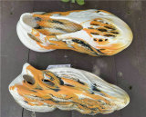 Authentic Y Foam Runner （2）