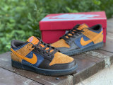 Authentic Nike Dunk Low “Cider”