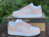 Authentic Nike Dunk Low “Move to Zero”