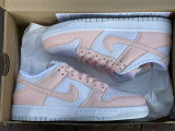 Authentic Nike Dunk Low “Move to Zero”