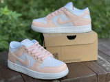 Authentic Nike Dunk Low “Move to Zero”
