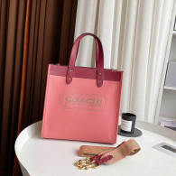 Coach AAA Quality Bag (3)