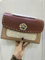 Coach AAA Quality Bag (2)