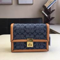 Coach AAA Quality Bag (13)