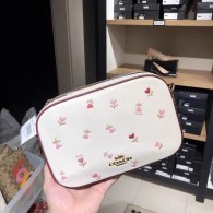 Coach AAA Quality Bag (10)