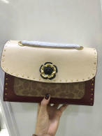 Coach AAA Quality Bag (1)