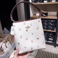 Coach AAA Quality Bag (8)