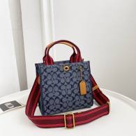 Coach AAA Quality Bag (11)