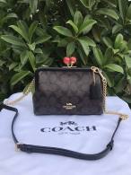 Coach AAA Quality Bag (5)