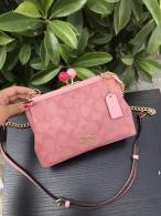 Coach AAA Quality Bag (6)