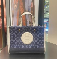 Coach AAA Quality Bag (9)