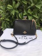 Coach AAA Quality Bag (7)