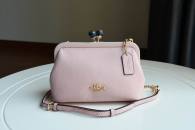 Coach AAA Quality Bag (4)