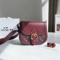 Coach AAA Quality Bag (20)
