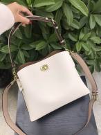 Coach AAA Quality Bag (27)