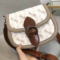 Coach AAA Quality Bag (23)