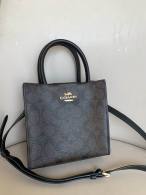 Coach AAA Quality Bag (28)