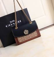 Coach AAA Quality Bag (18)