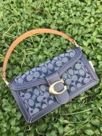 Coach AAA Quality Bag (15)