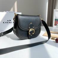 Coach AAA Quality Bag (21)