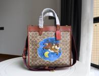 Coach AAA Quality Bag (25)