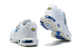 Air Max Plus Shoes - 030