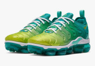 Nike Air VaporMax Plus (76)