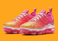 Nike Air VaporMax Plus Women Shoes (15)